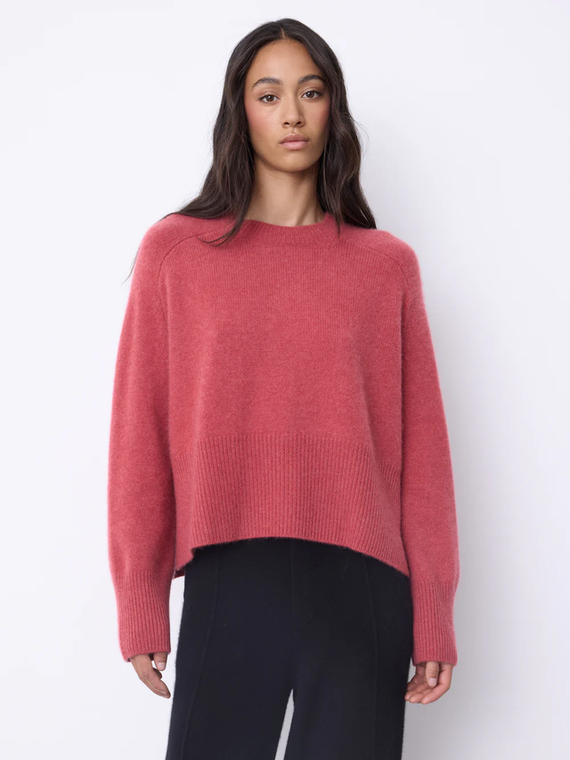 Pull fragola Not Shy